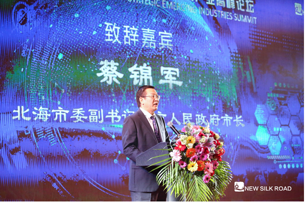 首屆（2019）新絲路·戰略性新興產業高峰論壇在北海隆重召開      