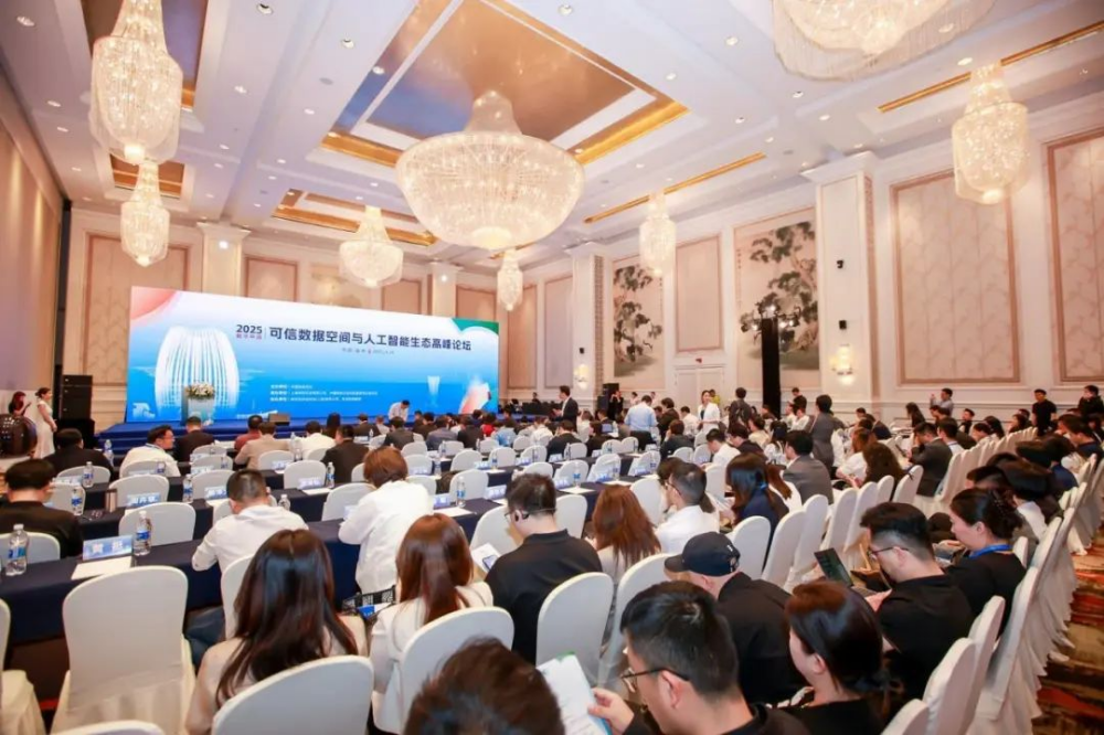 2025數(shù)字中國可信數(shù)據(jù)空間與人工智能生態(tài)高峰論壇成功舉辦